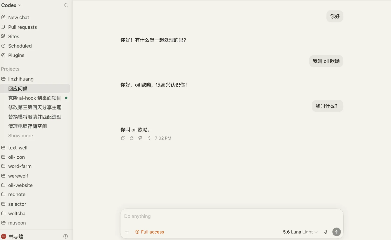 Codex 对话演示：模型能答出我的名字