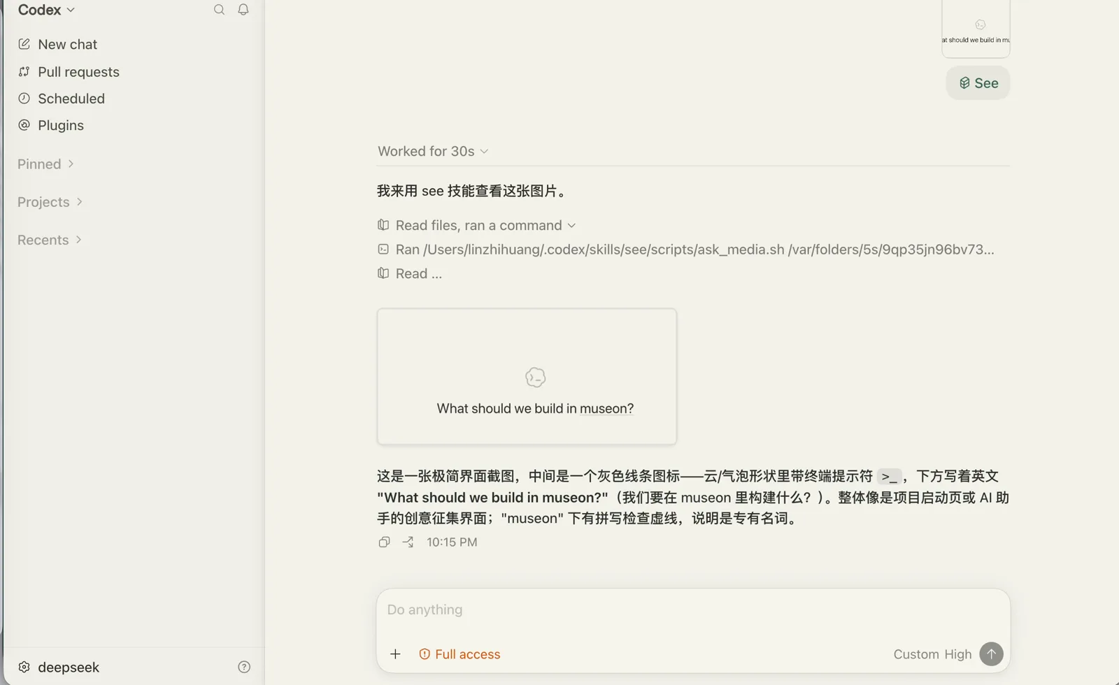 see Skill 调用云端模型后给出的图片描述
