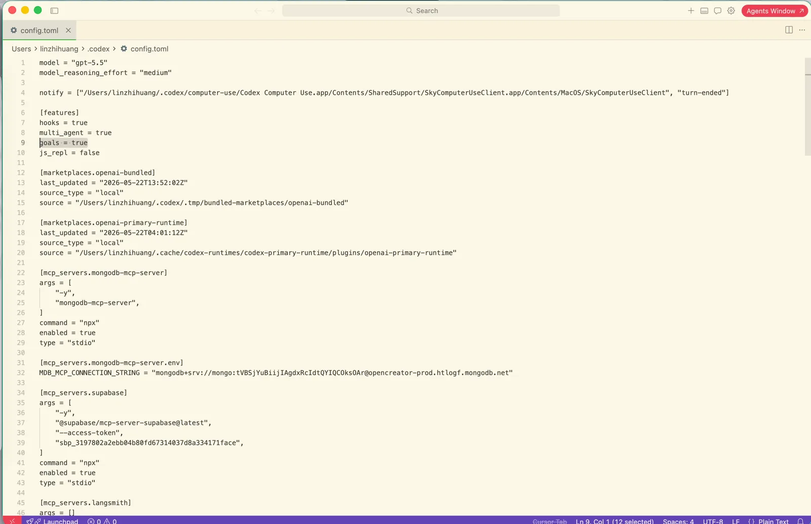 config.toml 里的 goals 配置