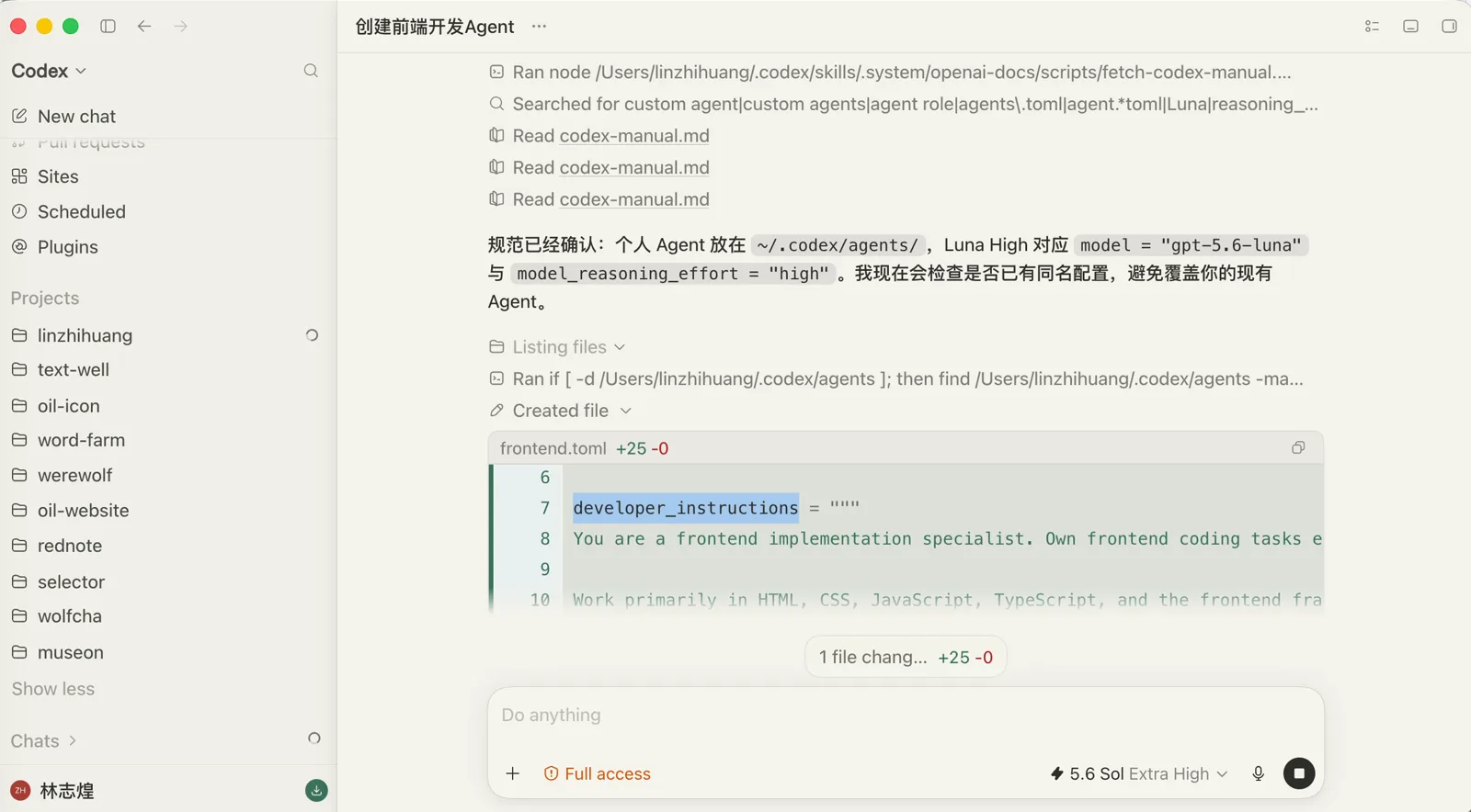 Codex 创建的 frontend.toml 配置文件