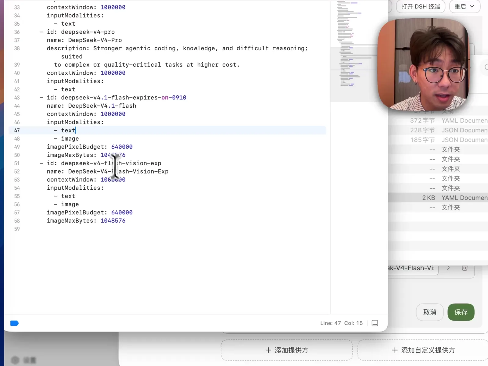 在 macOS 的 ~/.dsh/settings.yaml 中复制多模态配置并添加 deepseek-v4.1-flash-expires-on-0910