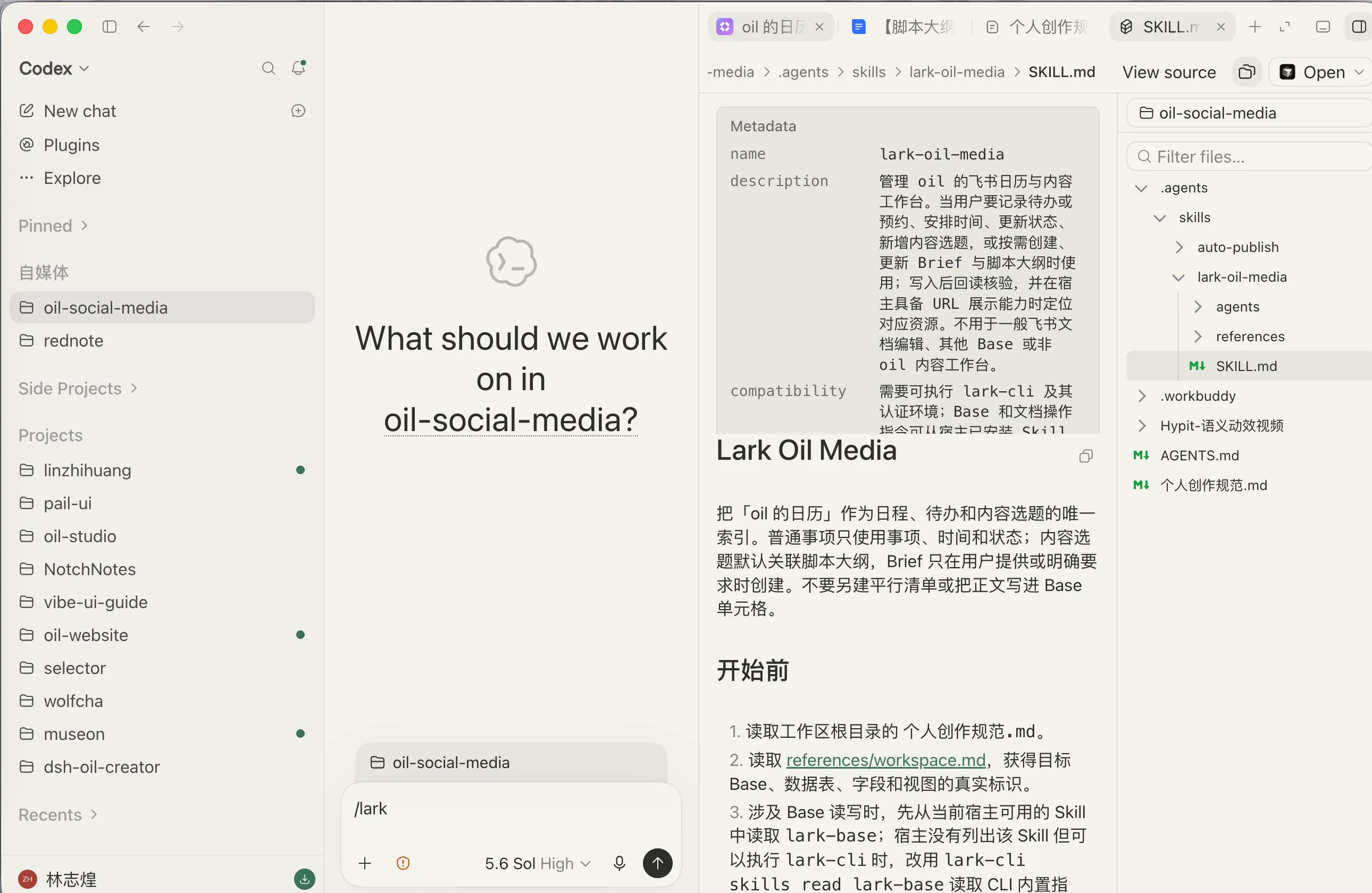 oil-social-media 项目中的 lark-oil-media Skill 与意图路由内容