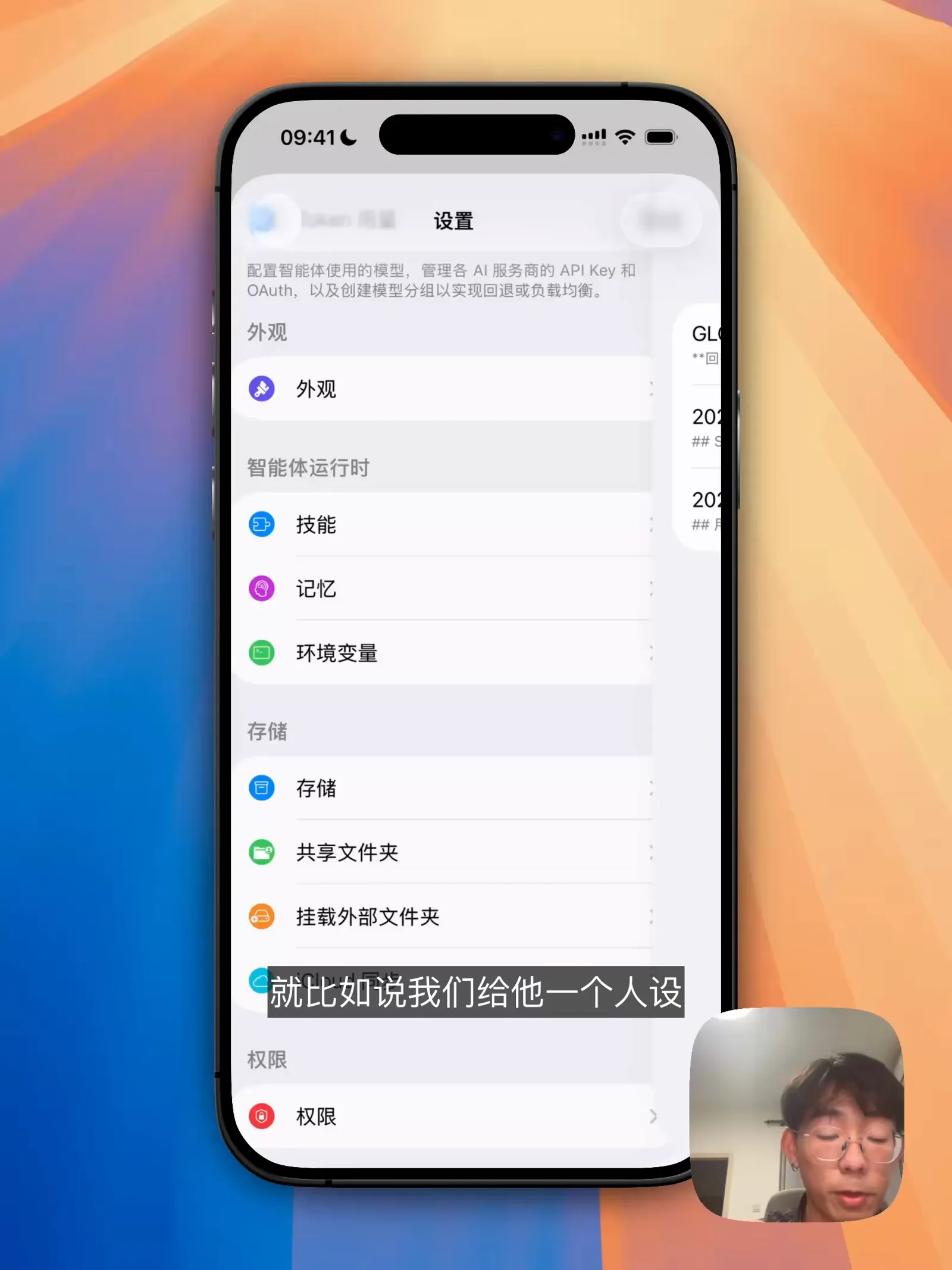 设置页面,包含技能、记忆、环境变量和存储