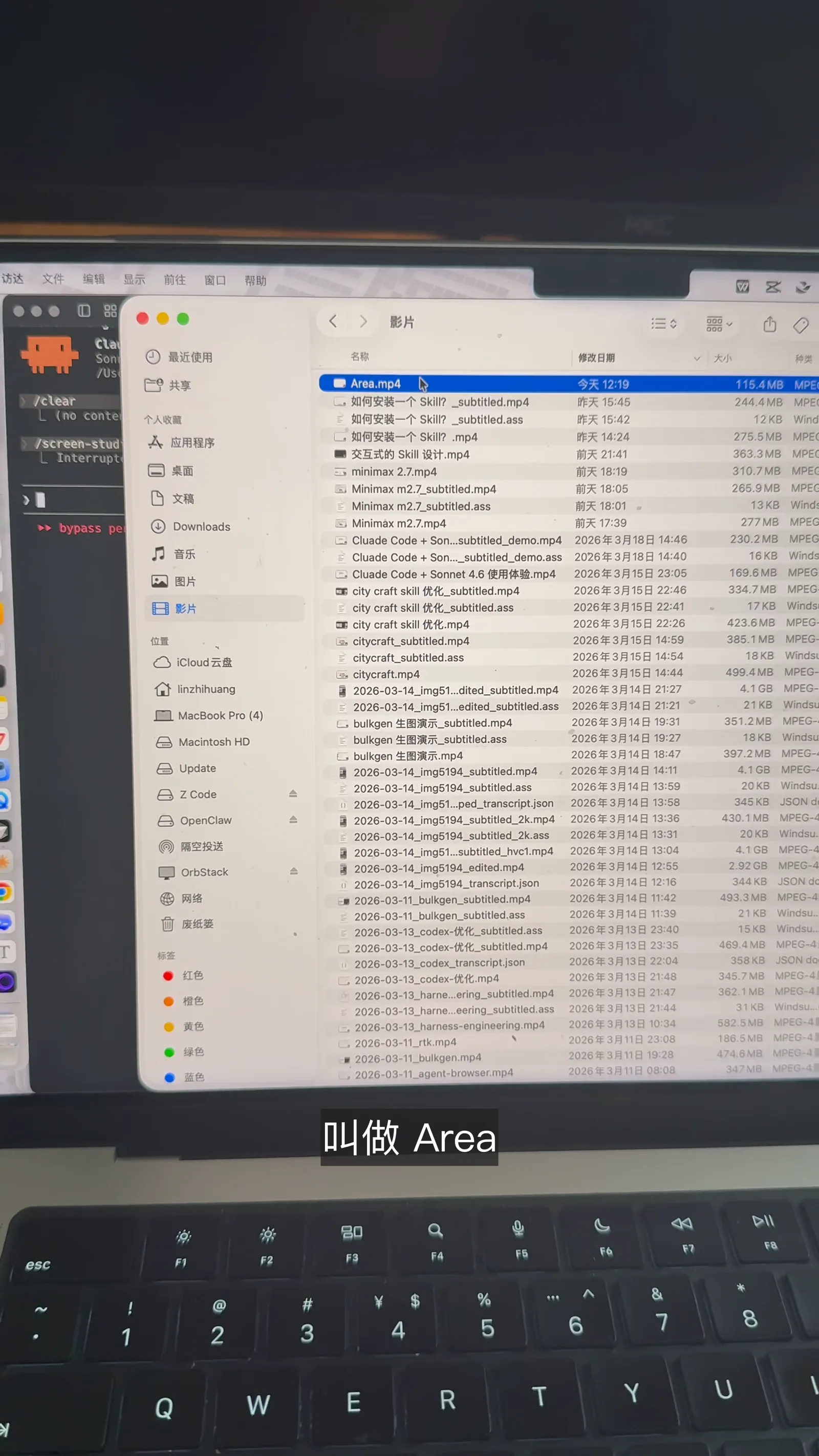 导出的视频文件 Area.mp4