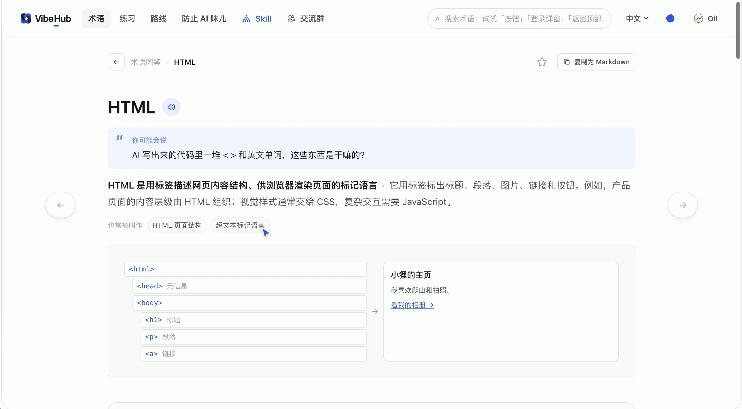VibeHub 术语详情页中的自然问法、通俗解释和图解示例
