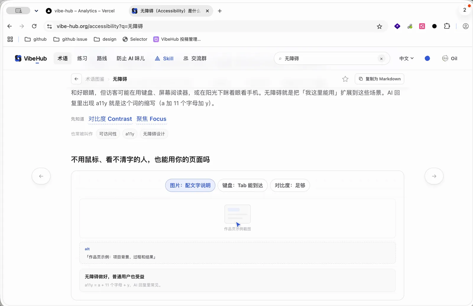 VibeHub 无障碍术语详情与图片说明、键盘到达和对比度示例